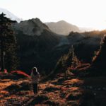 Things to love about the Fall