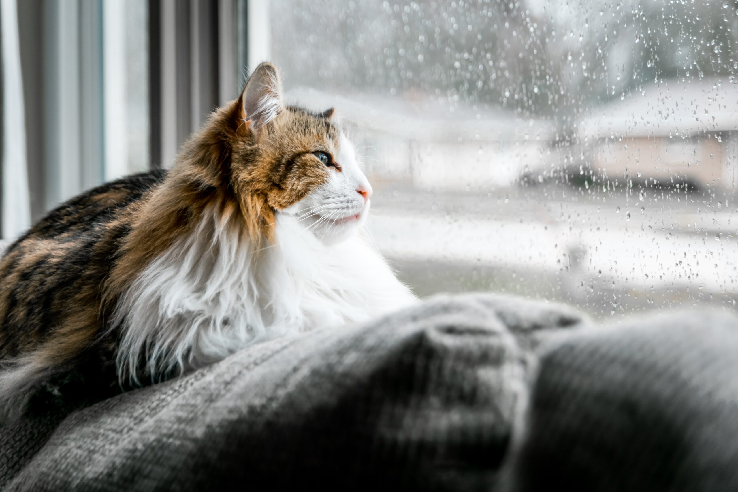 50+ Things You Can Do On A Rainy Day
