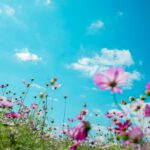 8 reasons to love spring