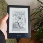 love and other flight delays denise williams book review