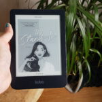 the stand-in lily chu book review