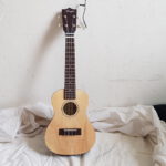 things I bought at the thrift stores