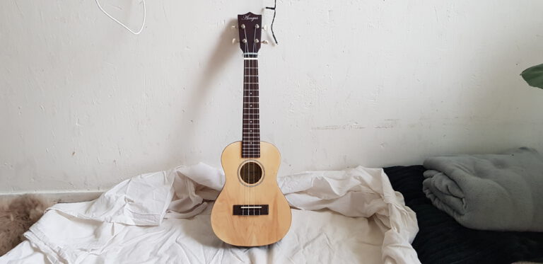 Things I Bought at The Thrift Stores #1