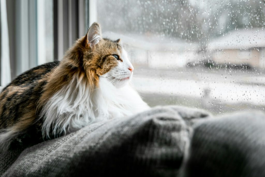 How to Romanticize Rainy Days This Fall