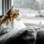 How to Romanticize Rainy Days This Fall