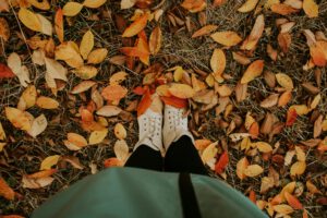 Free Things to Do During Fall
