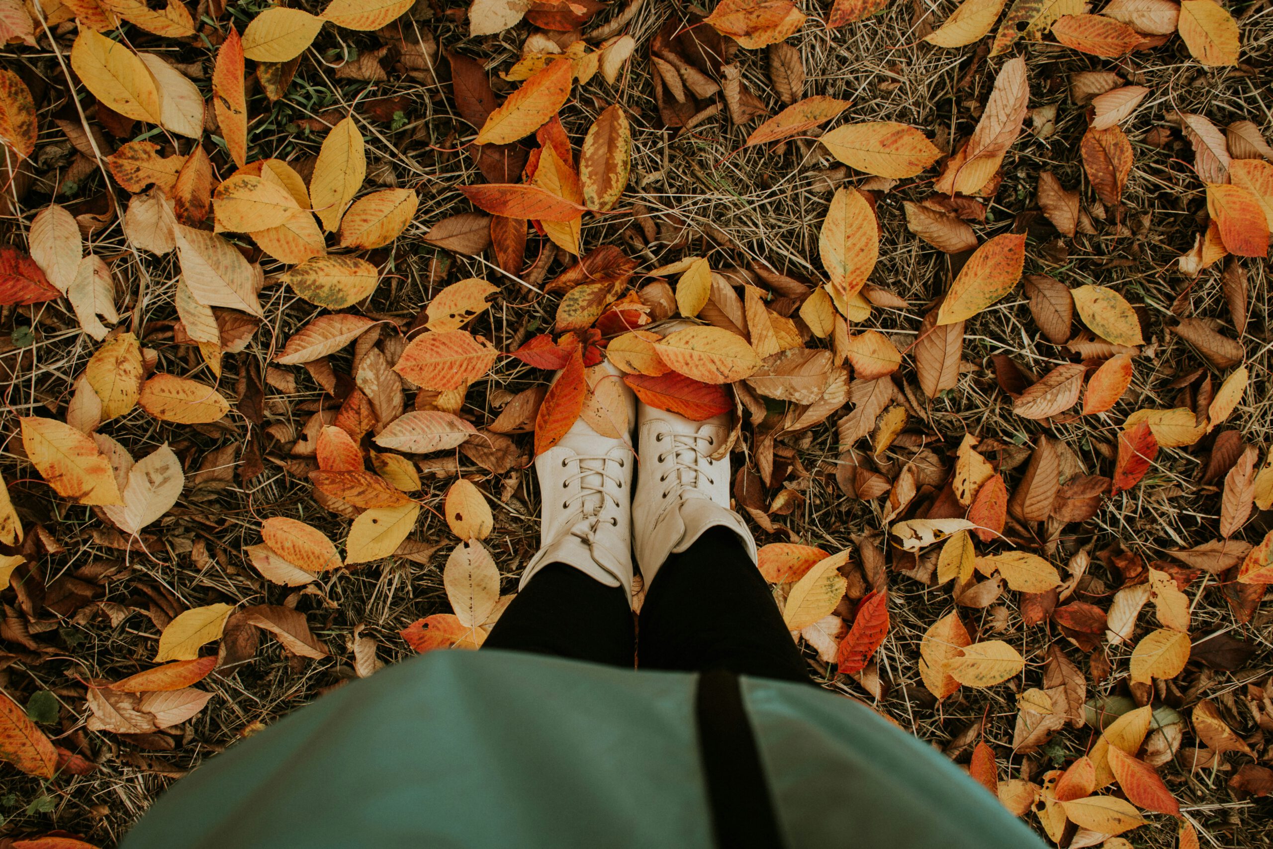 Free Things to Do During Fall