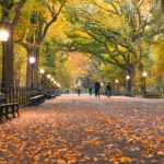 Things to love about the fall season