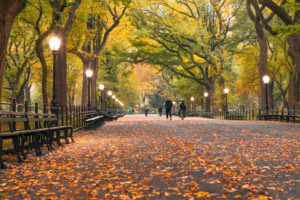 Things To Love About The Fall Season