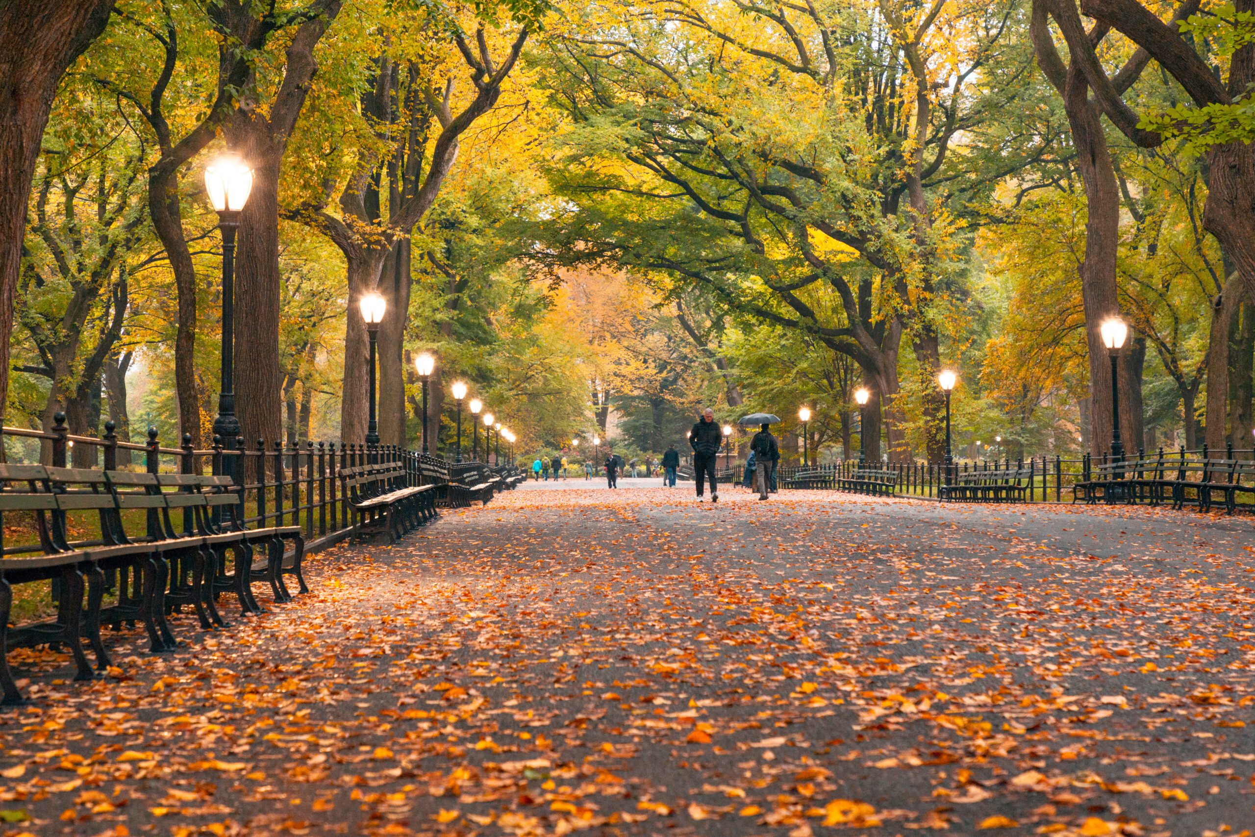 Things To Love About The Fall Season