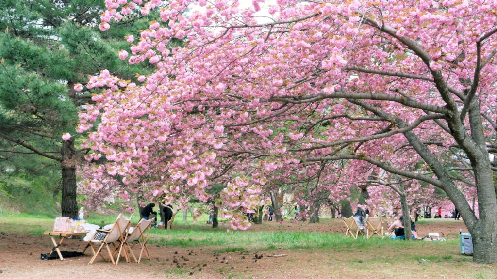 Things I want to do this Spring