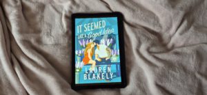 It Seemed Like  A Good Idea &ndash; Lauren Blakely | Book Review